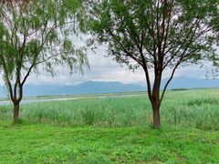 -野鸭湖国家湿地公园