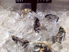 -Oyster Talks 四度蚝法餐厅