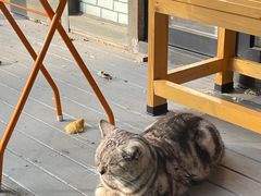 -舊新事咖啡NOTHING NEW COFFEE