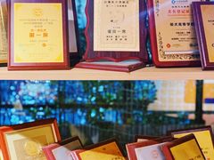 -柴犬高等学院·狗咖·柴犬售卖·宠物训练