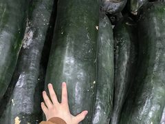 -南京众彩农副产品配送有限公司