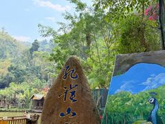 -西双版纳原始森林公园