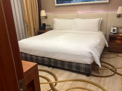 -上海浦东康桥绿地假日酒店