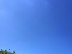 -东海顺风肥牛海鲜火锅(哈工大店)