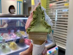 -柠檬车露(卖草地店)