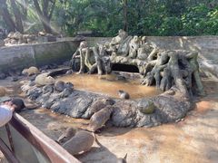 -海南热带野生动植物园
