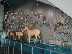 -中国湿地博物馆