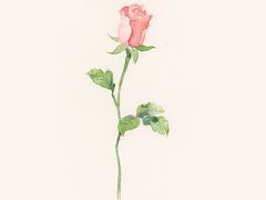 -八哥美术·成人美术画室(总校区)