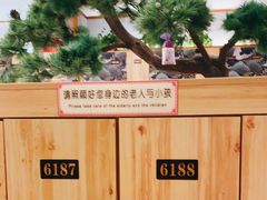 -汤泉良子(金源店)