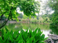 -东莞市可园博物馆