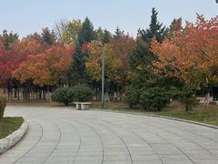 -长春世界雕塑园冰雪艺术天地