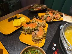 -牛New寿喜烧(虹桥新天地店)