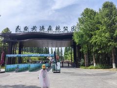 -黄海国家森林公园