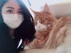 -瞄一喵猫咖(格力海岸店)