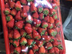 -菜园坝水果市场