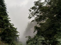 -洛阳白云山景区