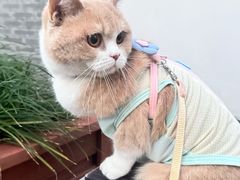 -冰椰岛椰冰(亚龙湾店)