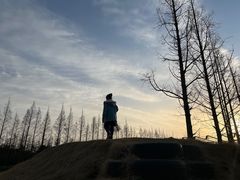 -前小桔亲子创意农场·草莓采摘·露营烧烤