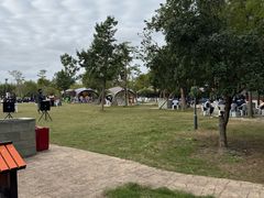 -上海长兴岛郊野公园