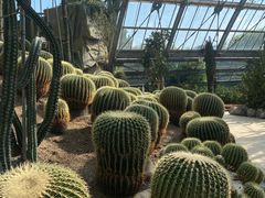 -南山植物园