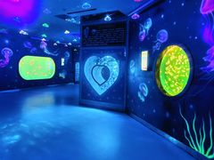 -多彩贵州城极地海洋世界