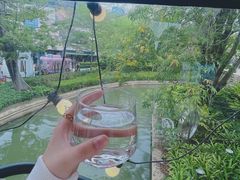 -深圳国际园林花卉博览园