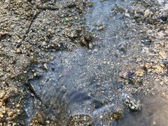 -白水寺森林公园