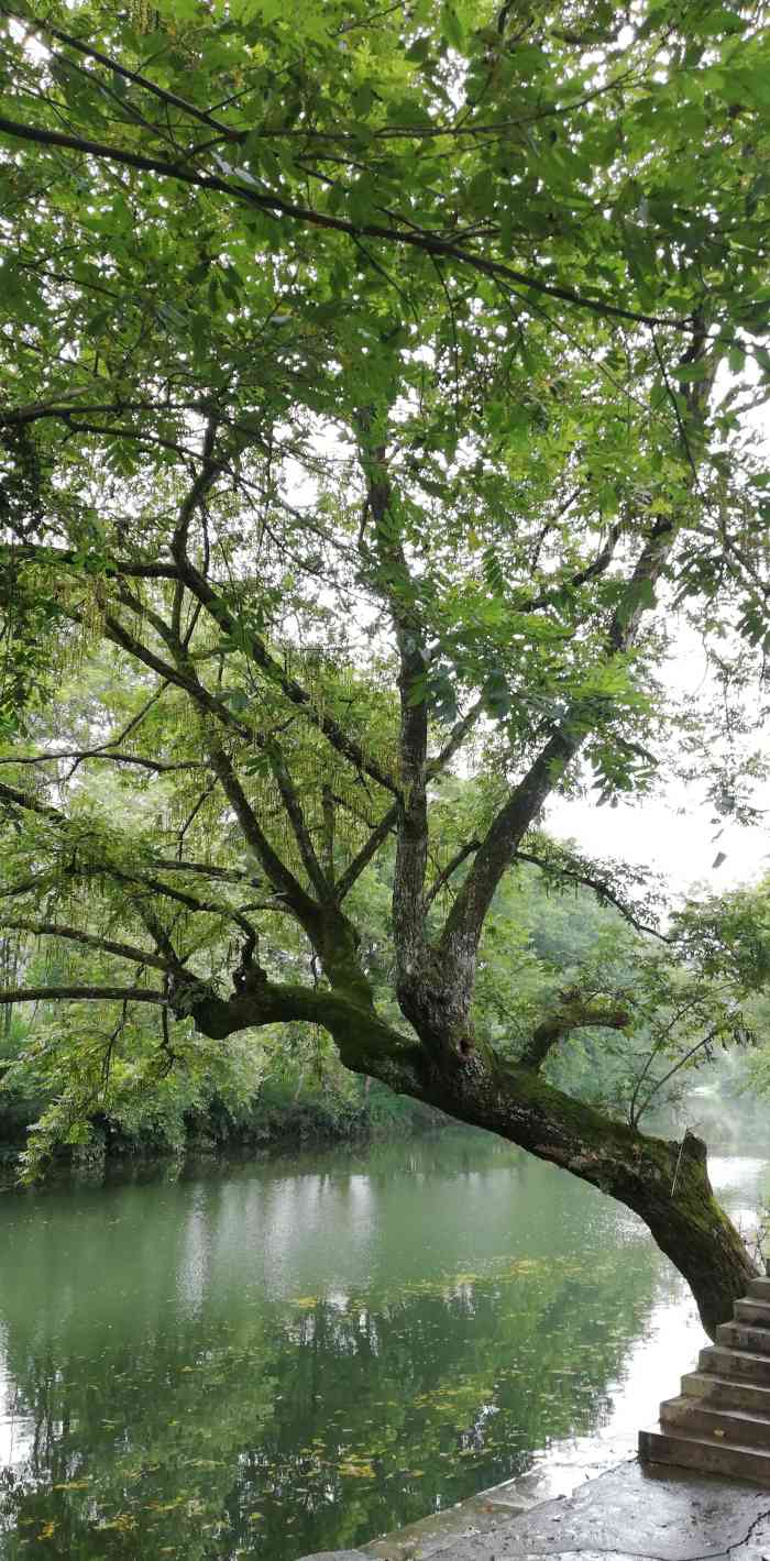 武陵岩漂流