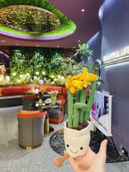 -花隐·美芙炫海菲秀皮肤管理中心