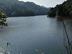 -广州市石门国家森林公园