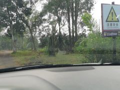 -海南热带野生动植物园
