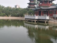 -迎泽公园