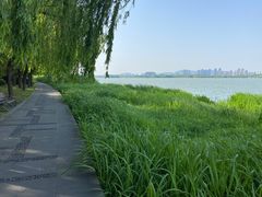 -长广溪湿地公园