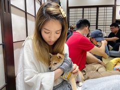 -逗柴咖啡屋·狗咖猫咖宠物桌游
