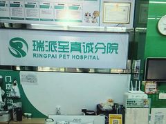 -瑞派动物医院·猫专科·至诚(江南中分院)
