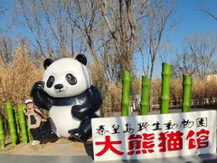 -秦皇岛野生动物园