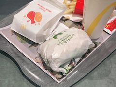 -麦当劳(北京大兴机场二层国内到达(安检外)店)