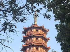 -大雁山风景区