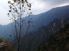 -大明山自然探索公园