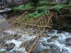 -众神白水涧景区