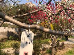 -丰台花园