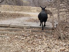 -北运河水利风景区