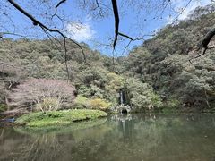 -龙井壹号·茶缘山景宴(龙井村店)
