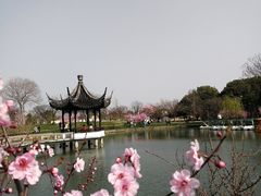-苏州上方山国家森林公园
