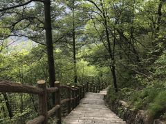 -秦岭天竺山景区