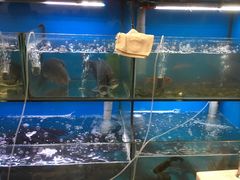 -老村长土菜馆(湖墅南路店)