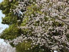 -西北湖绿化广场