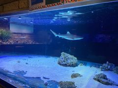 -zoonana室内动物园(东方福来德店)