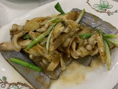 姜葱竹蛏-盈田盈粥庄(博山东路店)