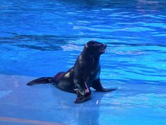 -横店影视城梦幻谷园区